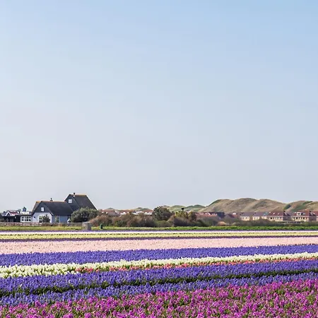 Wijde Blick 110 - Aan De Duinen - Callantsoog