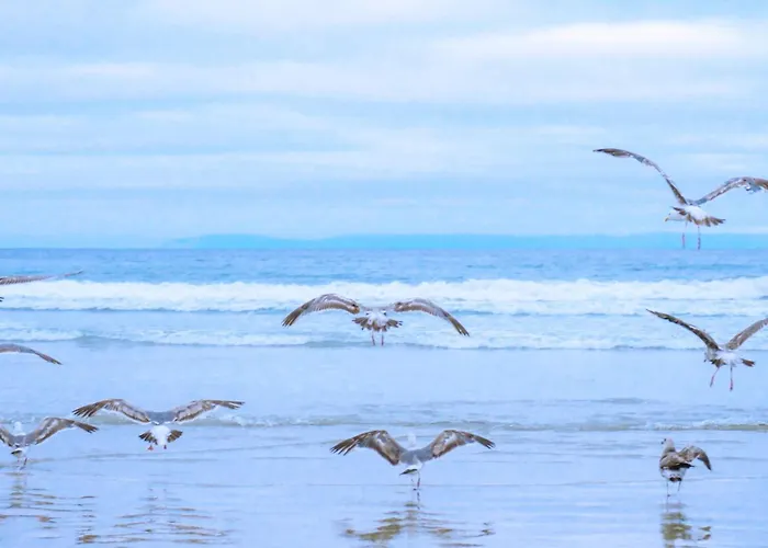 Appartement Wijde Blick 110 - Aan De Duinen -