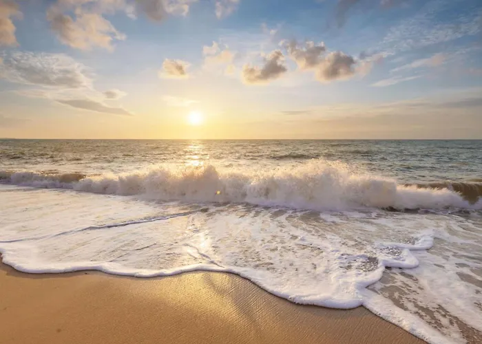 Appartement Wijde Blick 110 - Aan De Duinen -