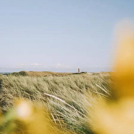 Apartamento Wijde Blick 110 - Aan De Duinen -